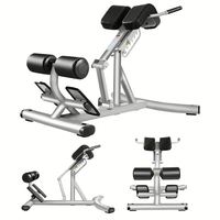 -ASJ-A035 de musculation équipement de fitness de gymnastique commerciale banc de gymnastique chaise romaine