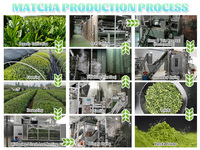 Poudre de Matcha Cérémonial Bio Premium Fairir en Gros pour Thé, Latte, Pâtisserie – Divers Emballages