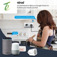 Akıllı avrupa standart soket Homekit ölçüm soketi geri sayım sayacı mobil uygulama uzaktan ses kontrolü