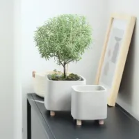 Cacto de cimento com design moderno, chique, vasos de flores, pote pequeno com pernas de madeira, para decoração de jardim doméstico