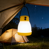 Lampe de camping LED rechargeable AA étanche IP67 Bright Bird 2026, torche lanterne avec batterie externe d'urgence en ABS