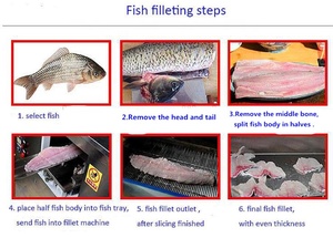 เครื่องหั่นปลาแซลมอนอัตโนมัติ/เครื่องหั่นเนื้อปลาสด/เครื่องตัดปลาเป็นแผ่น - Product Image 3