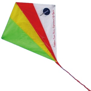 Brinquedo <span class=keywords><strong>kite</strong></span> promocional diamante fácil de voar da fábrica <span class=keywords><strong>kite</strong></span> - Product Image 1