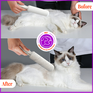 Household Cleanup Tool <b>Pet</b> Hair Removal Stone Dog Hair Remover <b>Brush</b> for Cleaning - Product Image 5