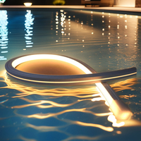 Bande lumineuse LED néon pleine couleur IP68 avec bande flexible à changement de couleur, corps en silicone, 12V/24V pour piscine