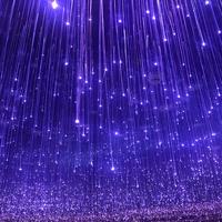 Cable de Fibra Óptica de Aluminio de 0.75mm, 900 Piezas, 3m de Largo, con Iluminación en el Extremo, con Clasificación IP67 para Decoración de Festivales al Aire Libre