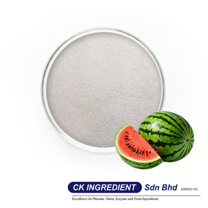 Poudre de jus de pastèque original, extrait de fruit rafraîchissant, base de boisson, complément alimentaire, support OEM ODM, directement de l'usine - Product Image 1