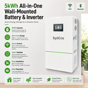 Sistema de Almacenamiento de Energía Solar para Hogar y Comercio Sylcin, Montado en Pared, con Batería de 48V 51.2V 5kWh 10kWh y BMS - Product Image 1