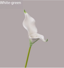 Blanc Vert