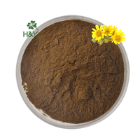 Extrait d'arnica pur à base de plantes, extrait de fleur d'arnica, poudre d'extrait d'arnica montana