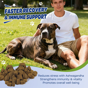 Muscles Soft Chews, Suplemento para el Cuidado de la Salud de las Mascotas, Aumento de Peso, Vitaminas con Alto Contenido de Proteínas, Suplementos para Mascotas - Product Image 2