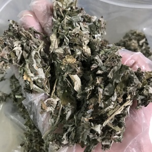 شاي أعشاب صيني عالي الجودة من أوراق الشيح المجففة، شاي الشيح الطبيعي (أرتيميسيا أرجي) - Product Image 2