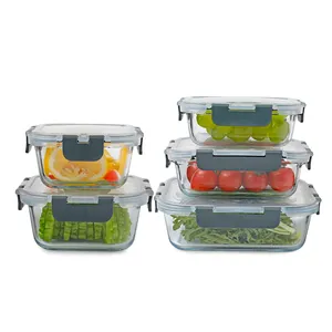 Lunch Box Easying Carrying Glass Tritan Food Container Kids Rectangle Food Bento Lunch Box With Locking Lid