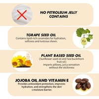 Huile phosphorescente de traitement des lèvres aux fruits de pastèque colorée de haute qualité avec son propre logo Lipoil Balm Brillant à l'huile pour les lèvres hydratant personnalisé en gros