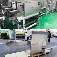 Laver les racines commerciales coupées Mini air utilisé Enlever l'éplucheur de peau d'oignon de printemps Machine à peler les oignons et coupeur