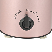 Huishoudelijke apparaten 300W Elektrische Draagbare Glazen Blenderkan Silvercrest Blenderkan Fruitpers Blender Mixer Blenders