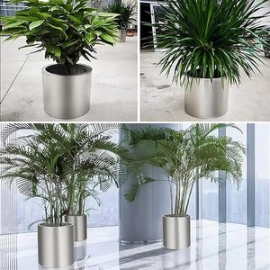 Jardinière en métal argenté de qualité supérieure pour fleurs, décoration intérieure, jardin et design d'intérieur, disponible à prix abordable - Product Image 2