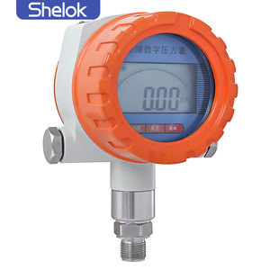 Shelok High Resolution Digital Pressure <strong>Gauge</strong> for Laboratory <strong>Testing</strong> and Precision Measurement Applications - Product Image 6