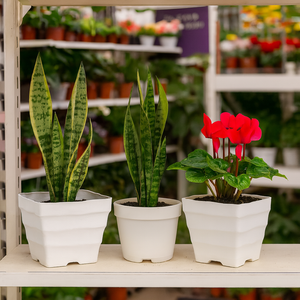 Maceta de Plástico Blanca Ligera y Ecológica con Superficie Texturizada Ondulada para Decoración de Hogar, Oficina, Balcón y Suelo, Tamaño Grande - Product Image 2