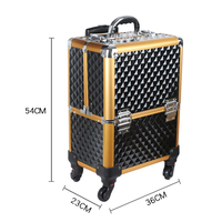 Valise de maquillage professionnelle en aluminium de luxe, portable et élégante, pour voyage