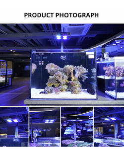 Gako A075 75W Led Zoutwater <span class=keywords><strong>Aquarium</strong></span> Verlichting, Zonsondergang Aluminium Touch Control Marine Verlichting Voor Koraalrif <span class=keywords><strong>Aquarium</strong></span> - Product Image 6