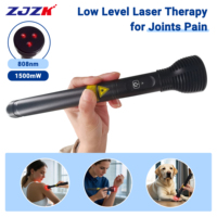 Appareil de thérapie par laser à lumière rouge LLLT 808 nm pour le soulagement de la douleur équine, l'arthrite et le traitement de la douleur sciatique