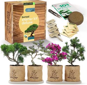 Kit de inicio de árbol de bonsái pequeño de lujo, Kit de cultivo de jardín <span class=keywords><strong>interior</strong></span> con herramientas de maceta de fertilizante para el cuidado de las plantas - Product Image 4