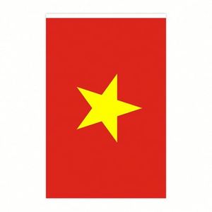 Wholesale Polyester Vietnam Small String <b>Flag</b> of Vietnamese Mini National Country World Pennant Banners for Decoration - Product Image 6