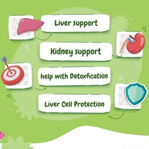 Harga grosir mendukung suplemen anjing fungsi sehat hati dengan Thistle susu - Product Image 3