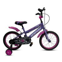 Vélo Enfant Tout-Terrain Personnalisé 12-16 Pouces à Vitesse Unique pour Garçons Branchés – Jeux et Amusements en Plein Air