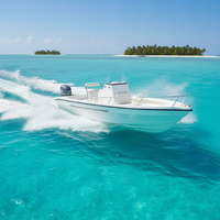 Bateau de pêche Grandsea de 26 pieds en fibre de verre avec moteur hors-bord et console centrale à vendre