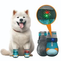 Nouvelles Chaussures pour Chien Innovantes Lumineuses, Imperméables, Respirantes, Antidérapantes et Résistantes à l'Usure en Maille pour Toutes les Saisons