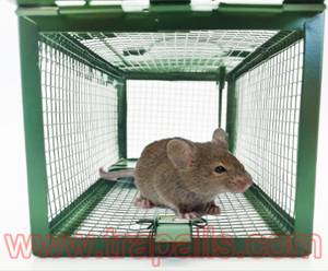 Piège à souris métallique réutilisable - Product Image 4