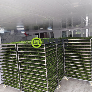 เครื่องอบแห้งแบบถาดสำหรับถั่วในสวน ผัก และถั่วเขียว - Product Image 4