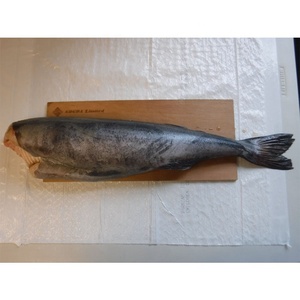 Nouvelle saison <span class=keywords><strong>Black</strong></span> <span class=keywords><strong>Cod</strong></span> HG de Kingsun Foods <span class=keywords><strong>Black</strong></span> <span class=keywords><strong>Cod</strong></span> Fish de Singapour - Product Image 4