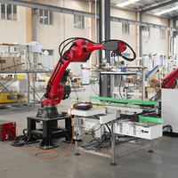 Máquina Robótica Industrial para Carga de Cartones con Productos Pesados e Irregulares