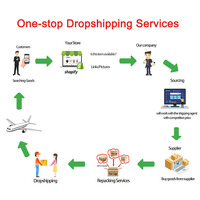 Dropshiping Ddp Shipping Agent Deutschland Dropshipping Agent Allemagne Eu