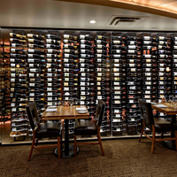 Range-bouteilles mural pour cave à vin, présentoir de rangement pour bouteilles, idéal pour bar, restaurant, hôtel, club, villa, sous-sol commercial
