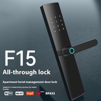 Bock WiFi Smart Door Lock Fingerprint Password Tongtong Graffiti F15 Cloud Data for Apartments Homestays-Wholesale Exportation