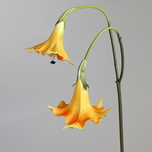 YOPIN-7858 Flor Artificial de Datura <span class=keywords><strong>Stramonium</strong></span> Blanca de Alta Calidad con 2 Cabezas, Tacto Real, de PU, para Centro de Mesa, Decoración de Bodas - Product Image 5