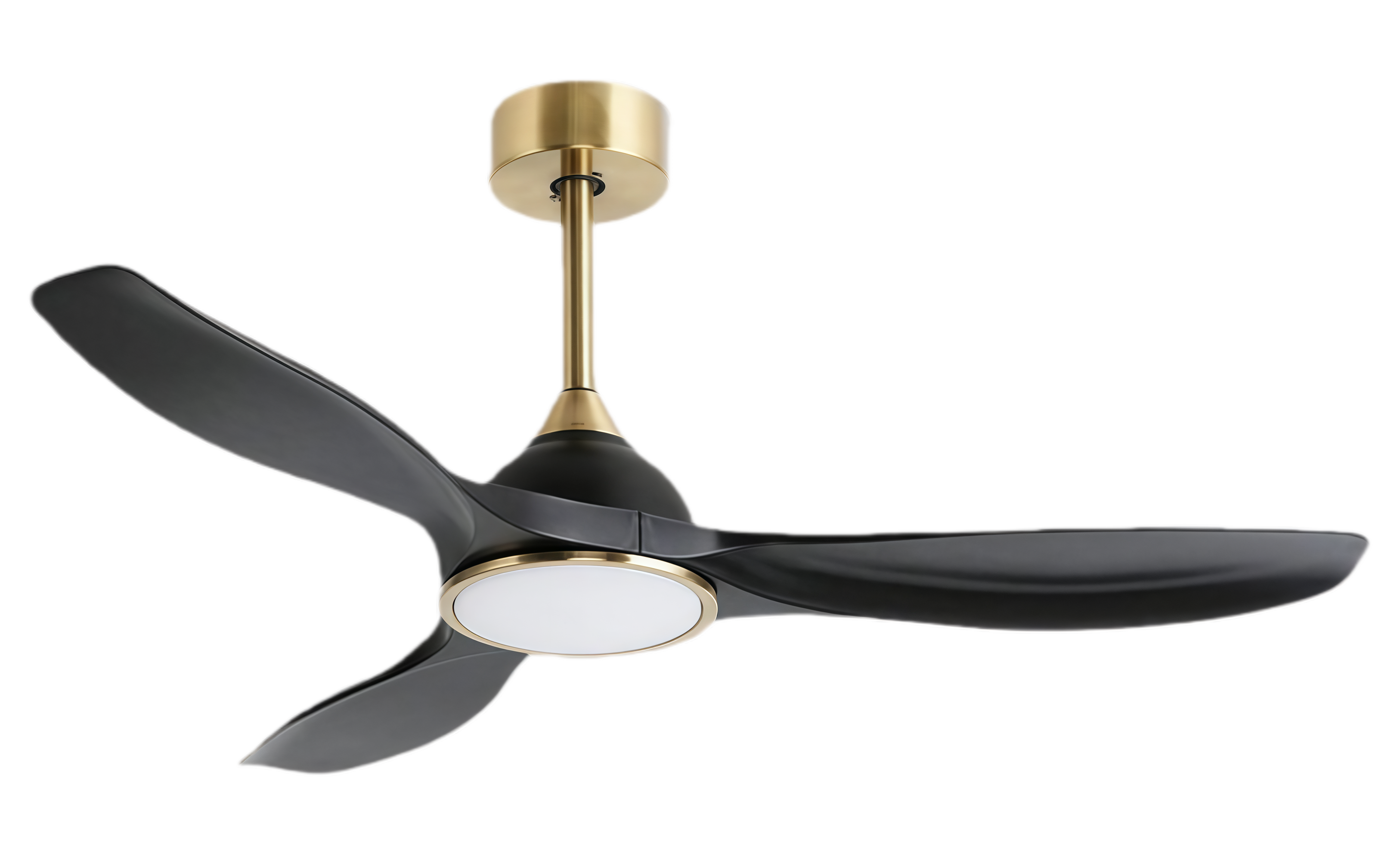 แบล็กโกลด์