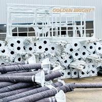 Poteau d'éclairage public solaire Golden Bright GB-Solar, 4m à 12m, en acier galvanisé, à bras simple ou double, pour l'éclairage public