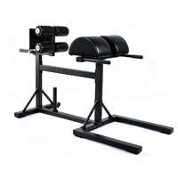 Chaise romaine réglable professionnelle pour salle de sport, banc d'hyperextension, machine d'extension dorsale, équipement d'entraînement de force en métal