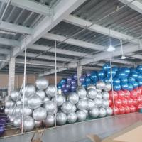 Ballon de yoga et de Pilates en PVC épais de haute qualité de 65 cm pour la gym, l'entraînement, le fitness, les exercices et la danse