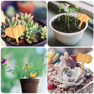 Fournitures de jardinage marqueurs de plantes signe de jardin bâton de plante graine légume giardino étiquettes de composteur outils de paysage - Product Image 3