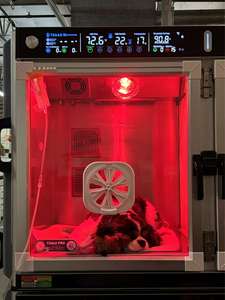 Cage d'oxygène pour animaux de compagnie Cages vétérinaires pour chiens Grande taille entièrement automatique ICU Pet Chambre à oxygène hyperbare - Product Image 5