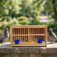 Nichoirs modulaires empilables en bois pour pigeons, compartiments écologiques, durables, faciles à nettoyer, pour usage intérieur/extérieur, course de colombes