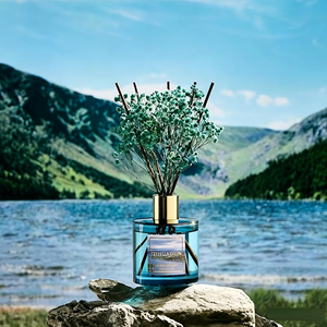 Diffuseur de roseaux longue durée pour salon et chambre à coucher, parfum frais de pin, cèdre et eucalyptus avec arôme de musc aquatique - Product Image 3