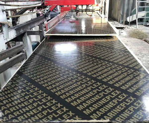 Contreplaqué <span class=keywords><strong>de</strong></span> construction extérieure en <span class=keywords><strong>bois</strong></span> <span class=keywords><strong>de</strong></span> peuplier <span class=keywords><strong>de</strong></span> haute qualité 12mm 15mm 18mm Combi Core Marine Film Face Coffrage avec colle WBP - Product Image 6