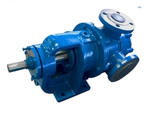 Bomba Rotativa Eléctrica de Malla Interna de Acero Inoxidable de Alta Resistencia Serie NYP para Fluidos de Alta Viscosidad con Reductor de Transmisión - Product Image 1